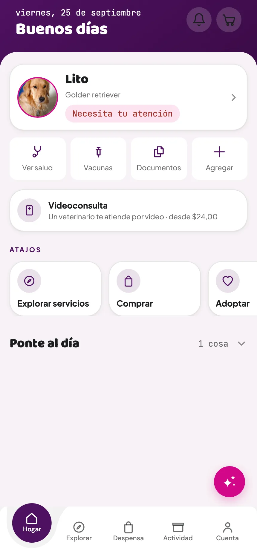 The Video consultation card on the Home screen of the family app