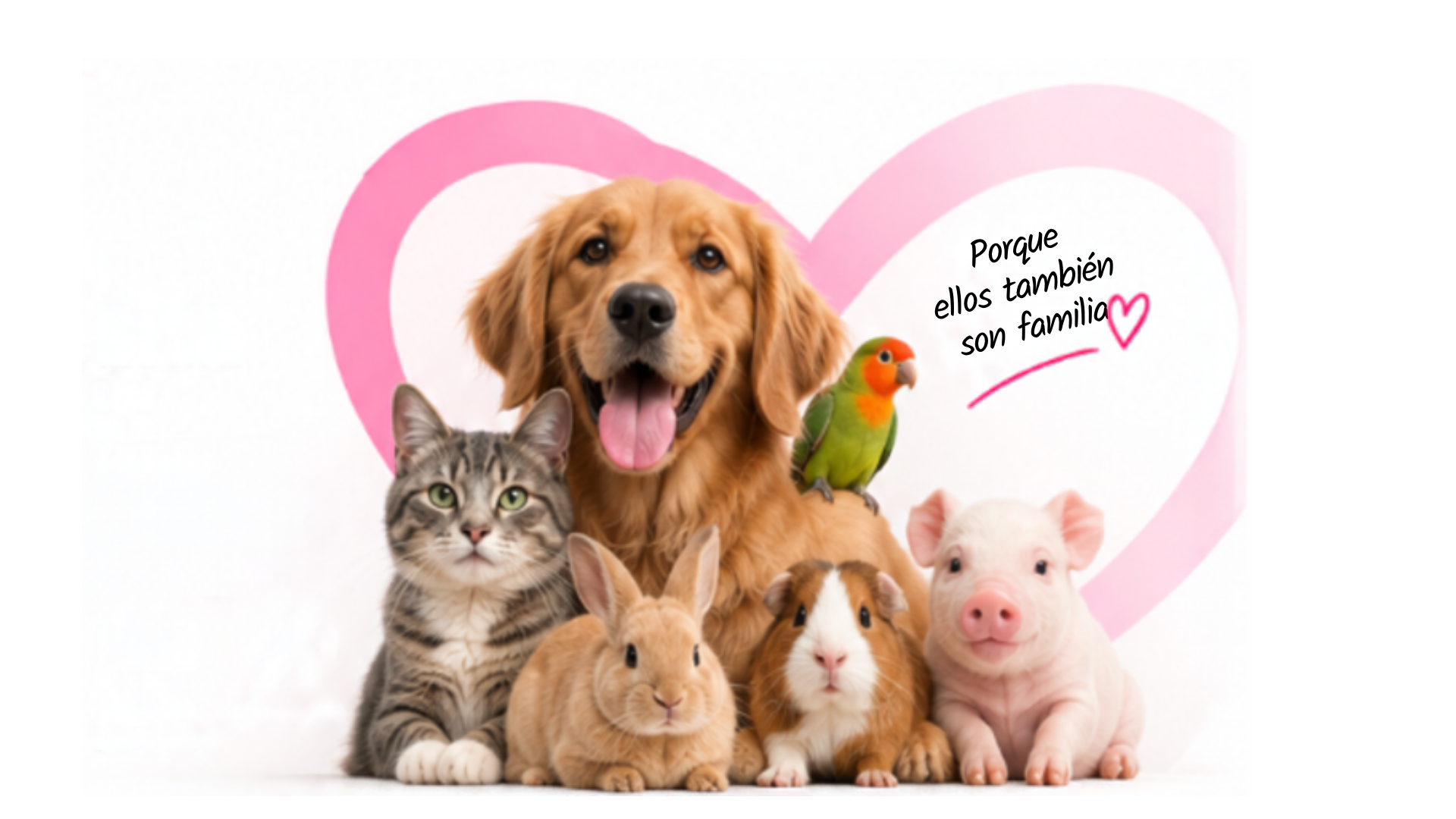 Un perro, un gato, un conejo, un cuy, un loro y un cerdito juntos frente a un corazón rosa