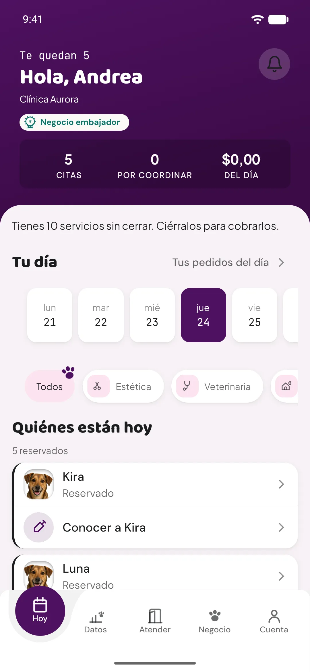 The business app